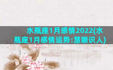 水瓶座1月感情2022(水瓶座1月感情运势:慧眼识人)