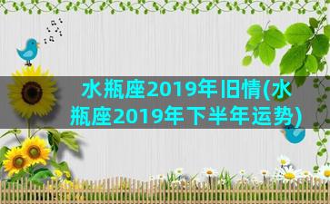 水瓶座2019年旧情(水瓶座2019年下半年运势)