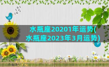 水瓶座20201年运势(水瓶座2023年3月运势)