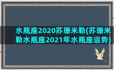 水瓶座2020苏珊米勒(苏珊米勒水瓶座2021年水瓶座运势)