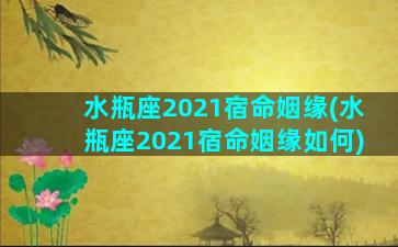 水瓶座2021宿命姻缘(水瓶座2021宿命姻缘如何)