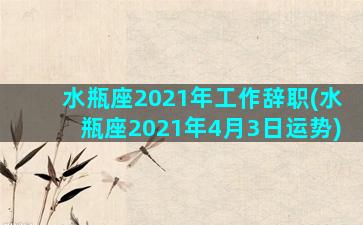 水瓶座2021年工作辞职(水瓶座2021年4月3日运势)