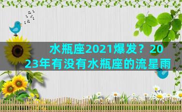 水瓶座2021爆发？2023年有没有水瓶座的流星雨