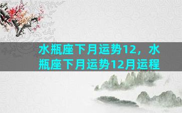 水瓶座下月运势12，水瓶座下月运势12月运程