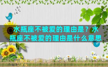 水瓶座不被爱的理由是？水瓶座不被爱的理由是什么意思