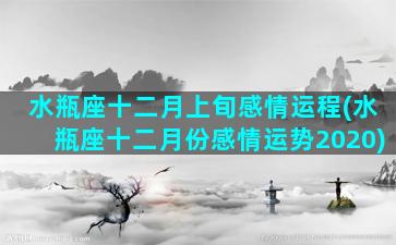 水瓶座十二月上旬感情运程(水瓶座十二月份感情运势2020)