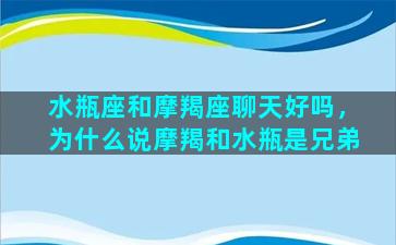 水瓶座和摩羯座聊天好吗，为什么说摩羯和水瓶是兄弟