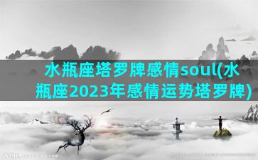 水瓶座塔罗牌感情soul(水瓶座2023年感情运势塔罗牌)