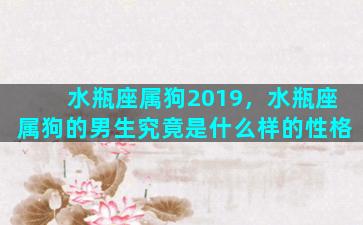 水瓶座属狗2019，水瓶座属狗的男生究竟是什么样的性格