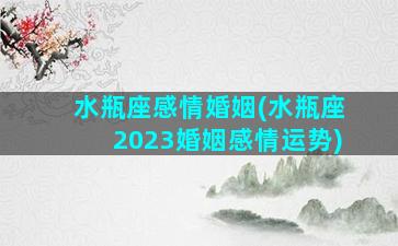 水瓶座感情婚姻(水瓶座2023婚姻感情运势)