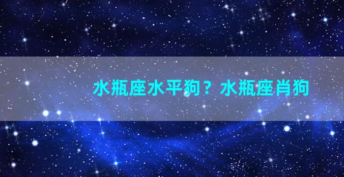 水瓶座水平狗？水瓶座肖狗