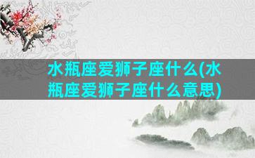 水瓶座爱狮子座什么(水瓶座爱狮子座什么意思)