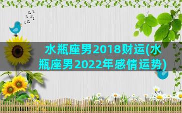 水瓶座男2018财运(水瓶座男2022年感情运势)