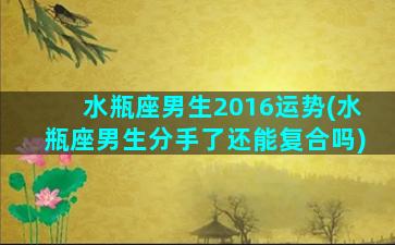 水瓶座男生2016运势(水瓶座男生分手了还能复合吗)