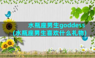 水瓶座男生goddess(水瓶座男生喜欢什么礼物)