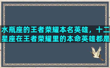 水瓶座的王者荣耀本名英雄，十二星座在王者荣耀里的本命英雄都是谁