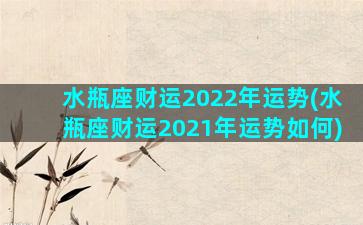 水瓶座财运2022年运势(水瓶座财运2021年运势如何)