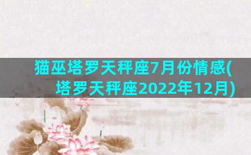 猫巫塔罗天秤座7月份情感(塔罗天秤座2022年12月)