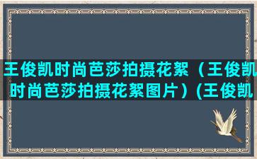 王俊凯时尚芭莎拍摄花絮（王俊凯时尚芭莎拍摄花絮图片）(王俊凯时尚芭莎图片)