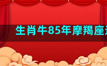 生肖牛85年摩羯座运势