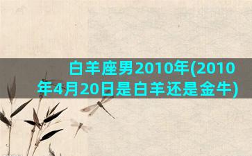 白羊座男2010年(2010年4月20日是白羊还是金牛)