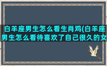 白羊座男生怎么看生肖鸡(白羊座男生怎么看待喜欢了自己很久的女生)