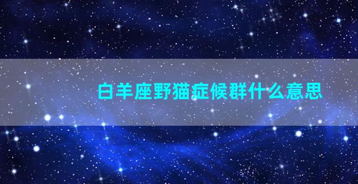 白羊座野猫症候群什么意思