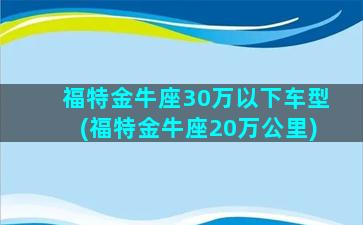 福特金牛座30万以下车型(福特金牛座20万公里)