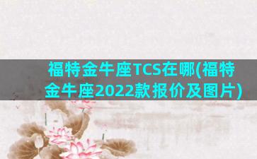 福特金牛座TCS在哪(福特金牛座2022款报价及图片)