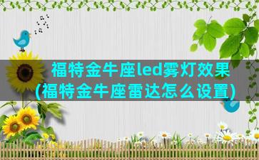 福特金牛座led雾灯效果(福特金牛座雷达怎么设置)