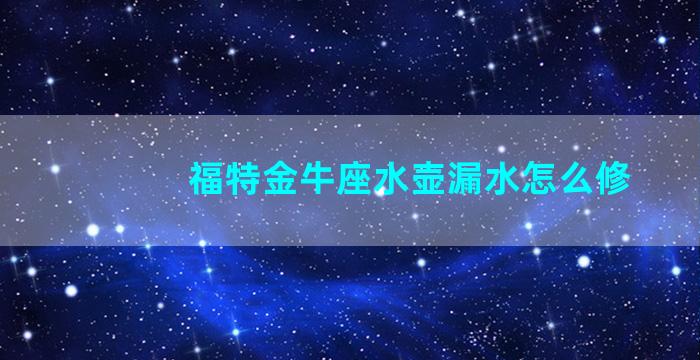 福特金牛座水壶漏水怎么修