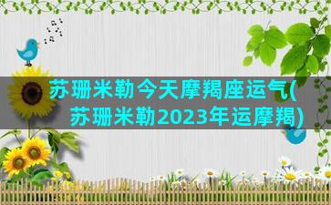 苏珊米勒今天摩羯座运气(苏珊米勒2023年运摩羯)