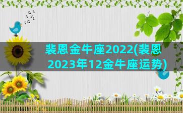 裴恩金牛座2022(裴恩2023年12金牛座运势)