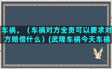 车祸。（车祸对方全责可以要求对方赔偿什么）(武隆车祸今天车祸)