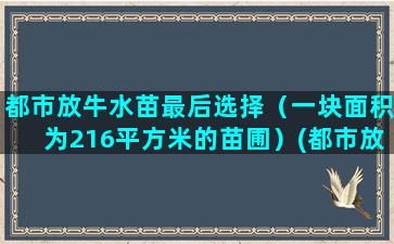 都市放牛水苗最后选择（一块面积为216平方米的苗圃）(都市放牛水苗结局)