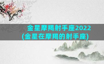 金星摩羯射手座2022(金星在摩羯的射手座)