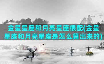 金星星座和月亮星座很配(金星星座和月亮星座是怎么算出来的)