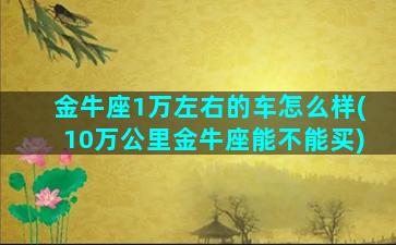 金牛座1万左右的车怎么样(10万公里金牛座能不能买)