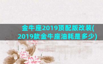 金牛座2019顶配版改装(2019款金牛座油耗是多少)