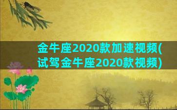 金牛座2020款加速视频(试驾金牛座2020款视频)