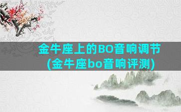 金牛座上的BO音响调节(金牛座bo音响评测)