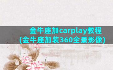 金牛座加carplay教程(金牛座加装360全景影像)