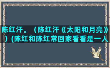 陈红汗。（陈红汗《太阳和月亮》）(陈红和陈红常回家看看是一人吗)