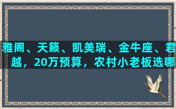 雅阁、天籁、凯美瑞、金牛座、君越，20万预算，农村小老板选哪款比较好