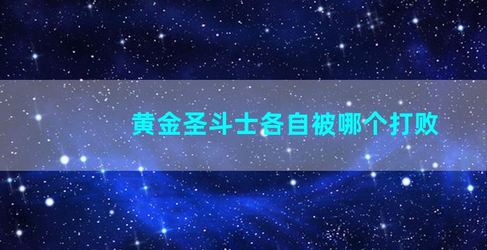 黄金圣斗士各自被哪个打败