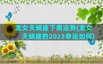 龙女天蝎座下周运势(龙女天蝎座的2023命运如何)